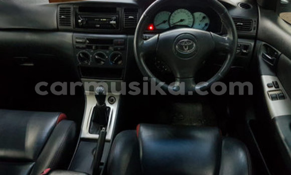 Buy Used Toyota Runx Silver Car in Harare in Harare Buy Used Toyota Runx Silver Car in Harare in Harare