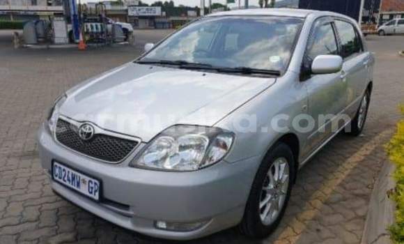 Buy Used Toyota Runx Silver Car in Beitbridge in Matabeleland South Buy Used Toyota Runx Silver Car in Beitbridge in Matabeleland South