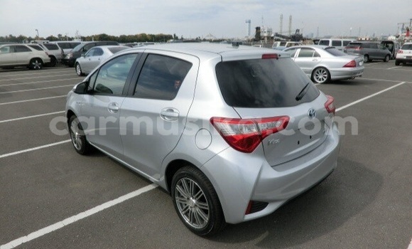 Buy Used Toyota Vitz Silver Car in Beitbridge in Matabeleland South Buy Used Toyota Vitz Silver Car in Beitbridge in Matabeleland South