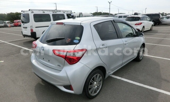 Buy Used Toyota Vitz Silver Car in Beitbridge in Matabeleland South Buy Used Toyota Vitz Silver Car in Beitbridge in Matabeleland South