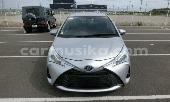 Buy Used Toyota Vitz Silver Car in Beitbridge in Matabeleland South Buy Used Toyota Vitz Silver Car in Beitbridge in Matabeleland South