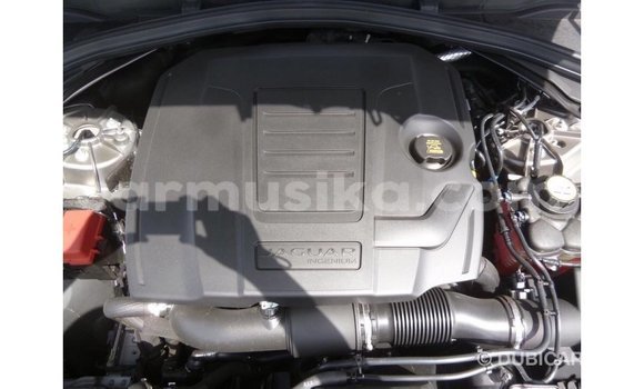 Buy Import Jaguar F-Pace Other Car in Import - Dubai in Harare Buy Import Jaguar F-Pace Other Car in Import - Dubai in Harare