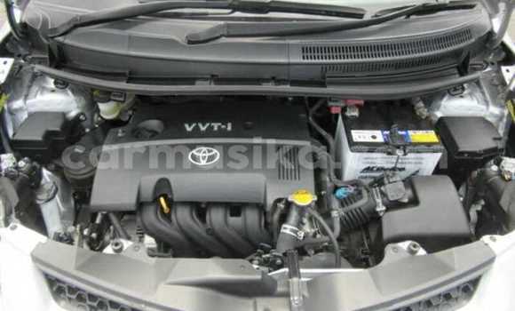 Acheter Occasion Voiture Toyota IST Gris à Beitbridge, Matabeleland South Acheter Occasion Voiture Toyota IST Gris à Beitbridge, Matabeleland South