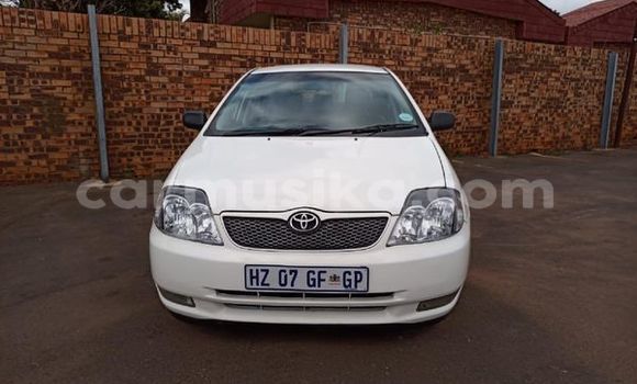 Nunua Ilio tumika Toyota Runx Nyeupe Gari ndani ya Beitbridge nchini Matabeleland Kusini
