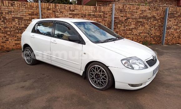 Acheter Occasion Voiture Toyota Runx Blanc à Beitbridge, Matabeleland South Acheter Occasion Voiture Toyota Runx Blanc à Beitbridge, Matabeleland South