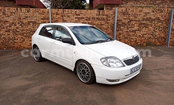 Acheter Occasion Voiture Toyota Runx Blanc à Beitbridge, Matabeleland South Acheter Occasion Voiture Toyota Runx Blanc à Beitbridge, Matabeleland South