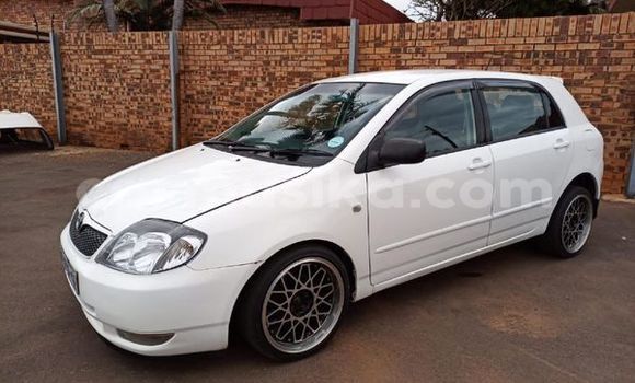 Acheter Occasion Voiture Toyota Runx Blanc à Beitbridge, Matabeleland South Acheter Occasion Voiture Toyota Runx Blanc à Beitbridge, Matabeleland South