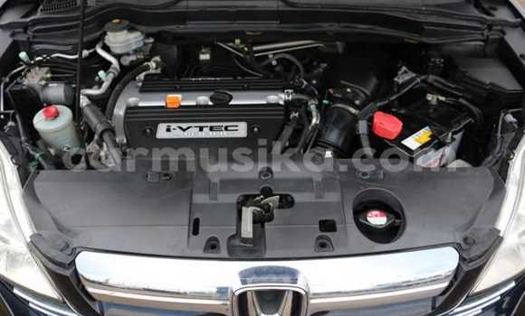 Nunua Ilio tumika Honda CR–V Nyeusi Gari ndani ya Beitbridge nchini Matabeleland Kusini Nunua Ilio tumika Honda CR–V Nyeusi Gari ndani ya Beitbridge nchini Matabeleland Kusini