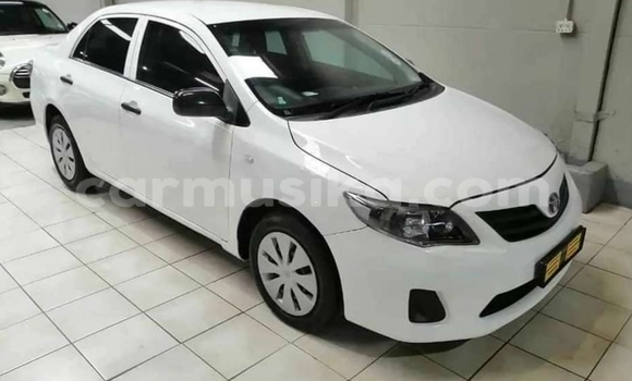 Tenga Tsaru Toyota Corolla Chena Mota in Beitbridge in Matabeleland South