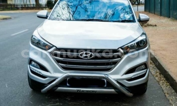 Tenga Tsaru Hyundai Tucson Sirivha Mota in Beitbridge in Matabeleland South