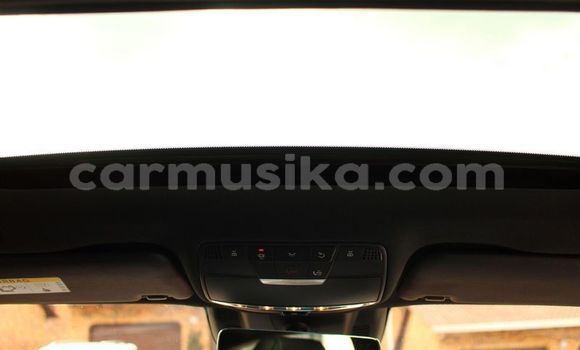 Acheter Occasion Voiture Mercedes‒Benz AMG GT Rouge à Beitbridge, Matabeleland South Acheter Occasion Voiture Mercedes‒Benz AMG GT Rouge à Beitbridge, Matabeleland South