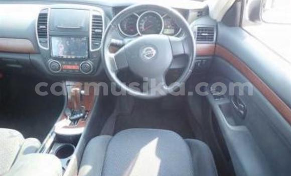 Tenga Tsaru Nissan Bluebird Sylphy Sirivha Mota in Beitbridge in Matabeleland South Tenga Tsaru Nissan Bluebird Sylphy Sirivha Mota in Beitbridge in Matabeleland South