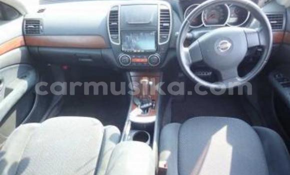 Tenga Tsaru Nissan Bluebird Sylphy Sirivha Mota in Beitbridge in Matabeleland South Tenga Tsaru Nissan Bluebird Sylphy Sirivha Mota in Beitbridge in Matabeleland South