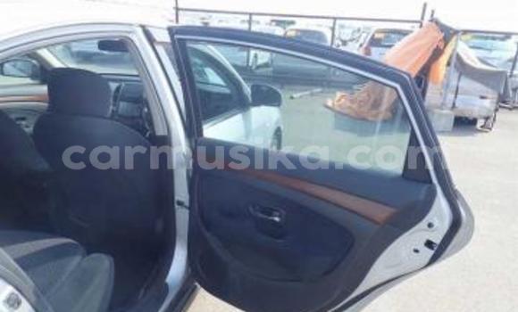 Tenga Tsaru Nissan Bluebird Sylphy Sirivha Mota in Beitbridge in Matabeleland South Tenga Tsaru Nissan Bluebird Sylphy Sirivha Mota in Beitbridge in Matabeleland South