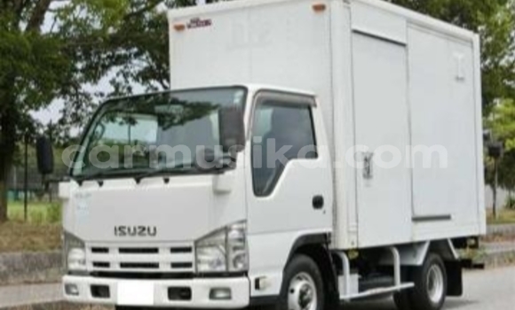 Tenga Tsaru Isuzu Elf Chena Rori in Beitbridge in Matabeleland South Tenga Tsaru Isuzu Elf Chena Rori in Beitbridge in Matabeleland South