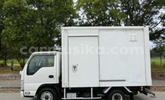 Tenga Tsaru Isuzu Elf Chena Rori in Beitbridge in Matabeleland South Tenga Tsaru Isuzu Elf Chena Rori in Beitbridge in Matabeleland South