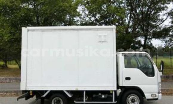 Tenga Tsaru Isuzu Elf Chena Rori in Beitbridge in Matabeleland South Tenga Tsaru Isuzu Elf Chena Rori in Beitbridge in Matabeleland South