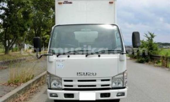 Tenga Tsaru Isuzu Elf Chena Rori in Beitbridge in Matabeleland South Tenga Tsaru Isuzu Elf Chena Rori in Beitbridge in Matabeleland South