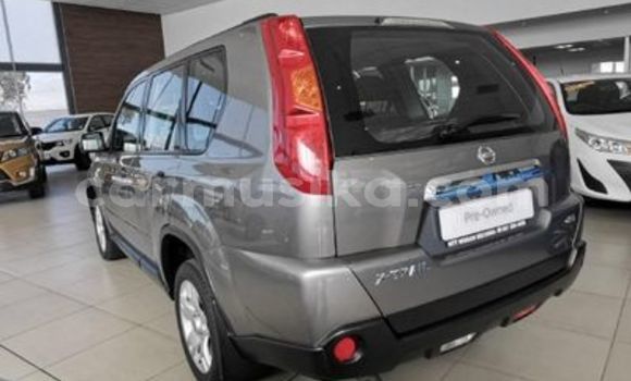 Tenga Tsaru Nissan Exa Zvimwe Mota in Beitbridge in Matabeleland South Tenga Tsaru Nissan Exa Zvimwe Mota in Beitbridge in Matabeleland South