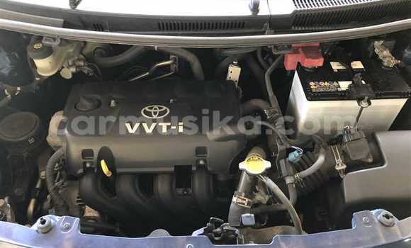 Buy Used Toyota Vitz Blue Car in Beitbridge in Matabeleland South Buy Used Toyota Vitz Blue Car in Beitbridge in Matabeleland South