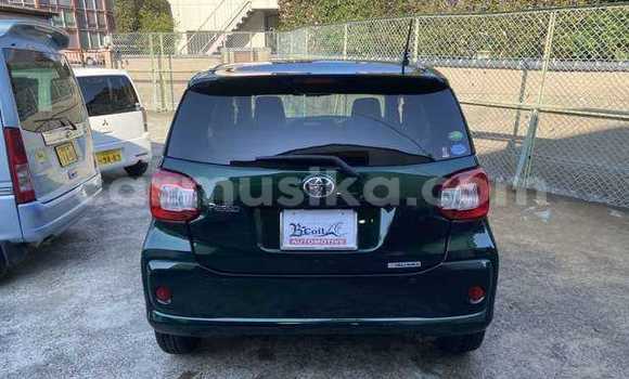 Tenga Tsaru Toyota Passo Girinhi Mota in Beitbridge in Matabeleland South Tenga Tsaru Toyota Passo Girinhi Mota in Beitbridge in Matabeleland South