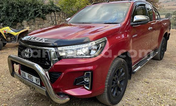 Buy Used Toyota Hilux Other Car in Beitbridge in Matabeleland South