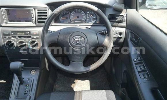 Acheter Occasion Voiture Toyota Runx Bleu à Beitbridge, Matabeleland South Acheter Occasion Voiture Toyota Runx Bleu à Beitbridge, Matabeleland South