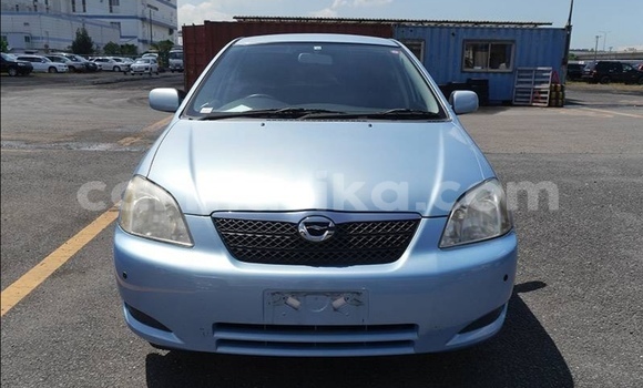 Acheter Occasion Voiture Toyota Runx Bleu à Beitbridge, Matabeleland South Acheter Occasion Voiture Toyota Runx Bleu à Beitbridge, Matabeleland South