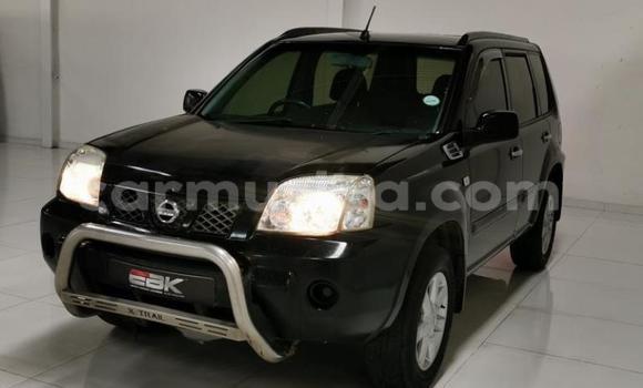 Tenga Tsaru Nissan X–Trail Chena Mota in Beitbridge in Matabeleland South Tenga Tsaru Nissan X–Trail Chena Mota in Beitbridge in Matabeleland South