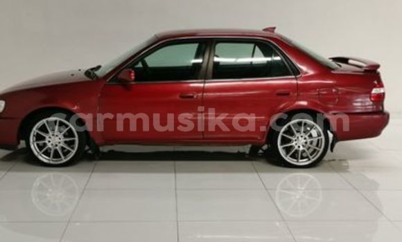 Tenga Tsaru Toyota Corolla Zvimwe Mota in Beitbridge in Matabeleland South