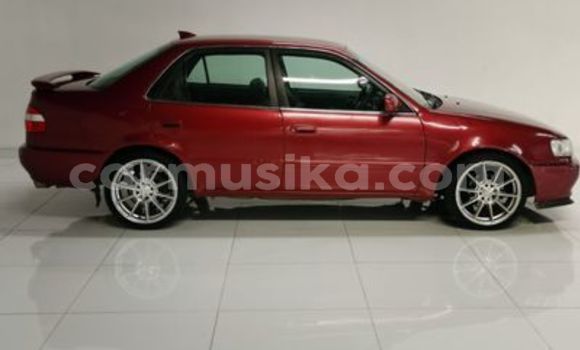 Tenga Tsaru Toyota Corolla Zvimwe Mota in Beitbridge in Matabeleland South Tenga Tsaru Toyota Corolla Zvimwe Mota in Beitbridge in Matabeleland South