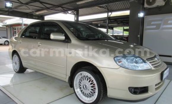 Tenga Tsaru Toyota Corolla Zvimwe Mota in Beitbridge in Matabeleland South