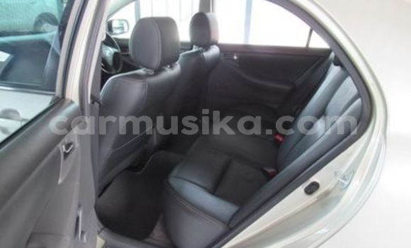 Buy Used Toyota Corolla Other Car in Beitbridge in Matabeleland South Buy Used Toyota Corolla Other Car in Beitbridge in Matabeleland South