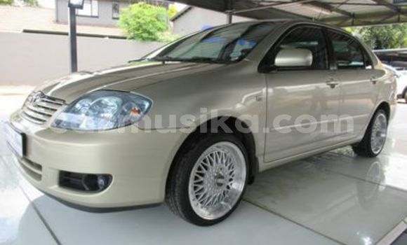 Buy Used Toyota Corolla Other Car in Beitbridge in Matabeleland South Buy Used Toyota Corolla Other Car in Beitbridge in Matabeleland South