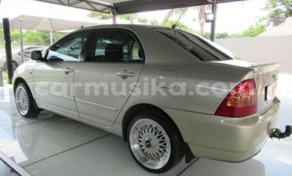 Buy Used Toyota Corolla Other Car in Beitbridge in Matabeleland South Buy Used Toyota Corolla Other Car in Beitbridge in Matabeleland South