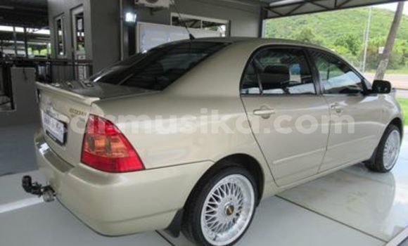 Buy Used Toyota Corolla Other Car in Beitbridge in Matabeleland South Buy Used Toyota Corolla Other Car in Beitbridge in Matabeleland South