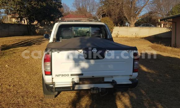 Tenga Tsaru Nissan NP 300 Chena Mota in Beitbridge in Matabeleland South Tenga Tsaru Nissan NP 300 Chena Mota in Beitbridge in Matabeleland South