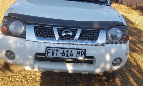 Tenga Tsaru Nissan NP 300 Chena Mota in Beitbridge in Matabeleland South Tenga Tsaru Nissan NP 300 Chena Mota in Beitbridge in Matabeleland South