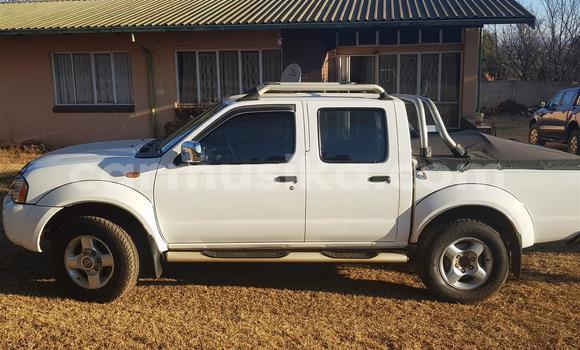 Tenga Tsaru Nissan NP 300 Chena Mota in Beitbridge in Matabeleland South Tenga Tsaru Nissan NP 300 Chena Mota in Beitbridge in Matabeleland South