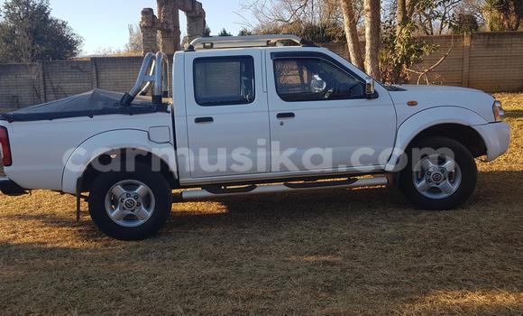 Tenga Tsaru Nissan NP 300 Chena Mota in Beitbridge in Matabeleland South Tenga Tsaru Nissan NP 300 Chena Mota in Beitbridge in Matabeleland South
