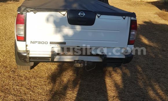 Tenga Tsaru Nissan NP 300 Chena Mota in Beitbridge in Matabeleland South Tenga Tsaru Nissan NP 300 Chena Mota in Beitbridge in Matabeleland South