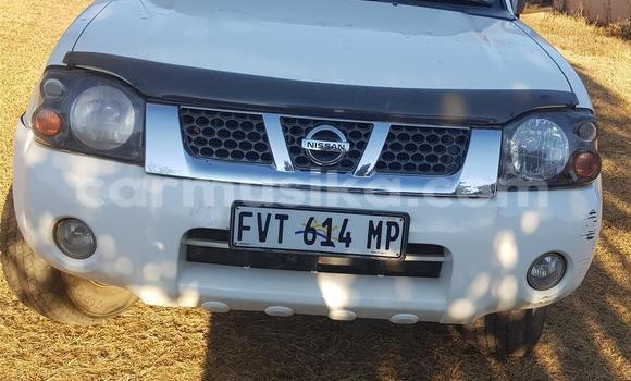Tenga Tsaru Nissan NP 300 Chena Mota in Beitbridge in Matabeleland South Tenga Tsaru Nissan NP 300 Chena Mota in Beitbridge in Matabeleland South