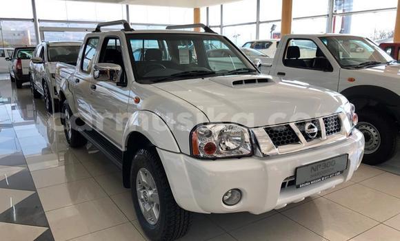 Buy Used Nissan NP 300 White Car in Beitbridge in Matabeleland South