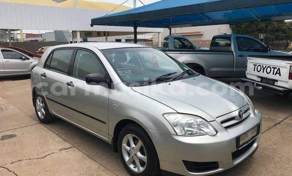 Acheter Occasion Voiture Toyota Runx Beige à Beitbridge, Matabeleland South
