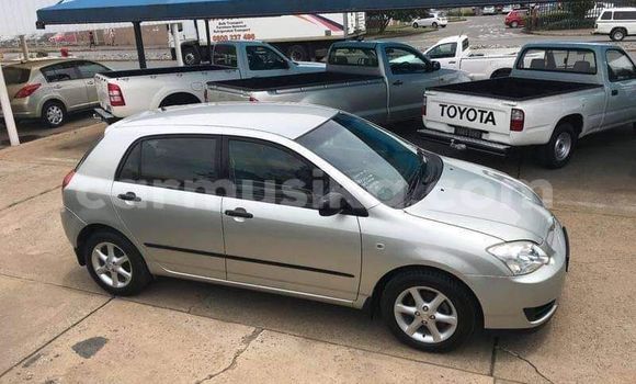 Tenga Tsaru Toyota Runx Beige Mota in Beitbridge in Matabeleland South Tenga Tsaru Toyota Runx Beige Mota in Beitbridge in Matabeleland South