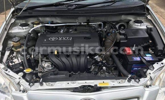 Tenga Tsaru Toyota Runx Beige Mota in Beitbridge in Matabeleland South Tenga Tsaru Toyota Runx Beige Mota in Beitbridge in Matabeleland South