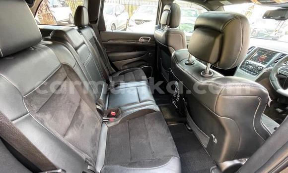 Tenga Tsaru Jeep Grand Cherokee Nhema Mota in Beitbridge in Matabeleland South Tenga Tsaru Jeep Grand Cherokee Nhema Mota in Beitbridge in Matabeleland South