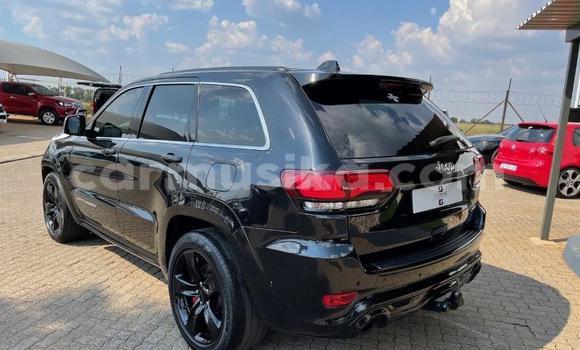 Tenga Tsaru Jeep Grand Cherokee Nhema Mota in Beitbridge in Matabeleland South Tenga Tsaru Jeep Grand Cherokee Nhema Mota in Beitbridge in Matabeleland South