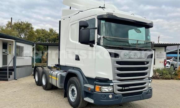 Buy Used Scania R420 White Truck in Beitbridge in Matabeleland South