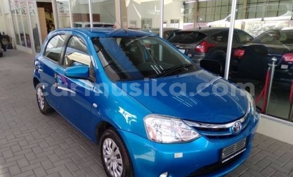 Tenga Tsaru Toyota Etios Bhuruu Mota in Beitbridge in Matabeleland South